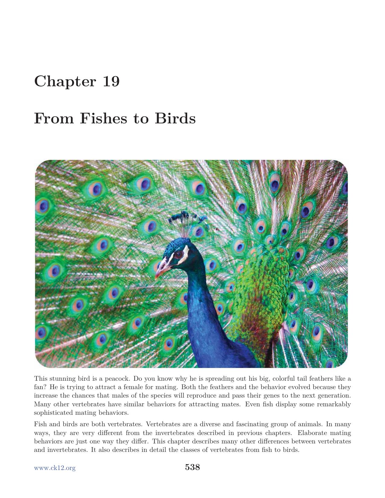 Biology Chapter19